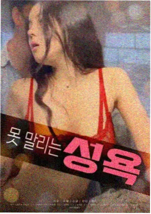 韩国特别剧雪路影像资料封面